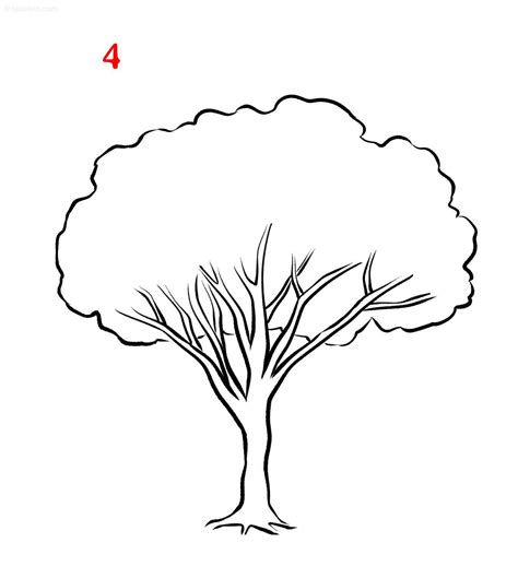 Step 3 – Next, draw in the rest of the leaves. The next step of your tree drawing will have you adding the rest of the leaves. Using the same wavy lines, draw in …